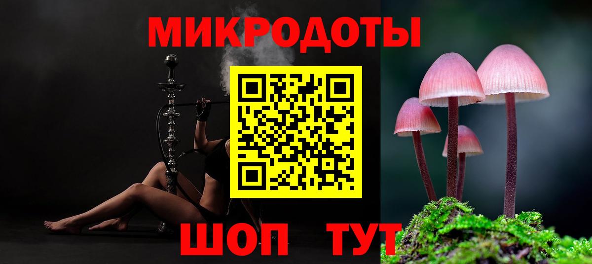 Моздок  Галлюциногенные грибы Psilocybe  Вход с VPN 